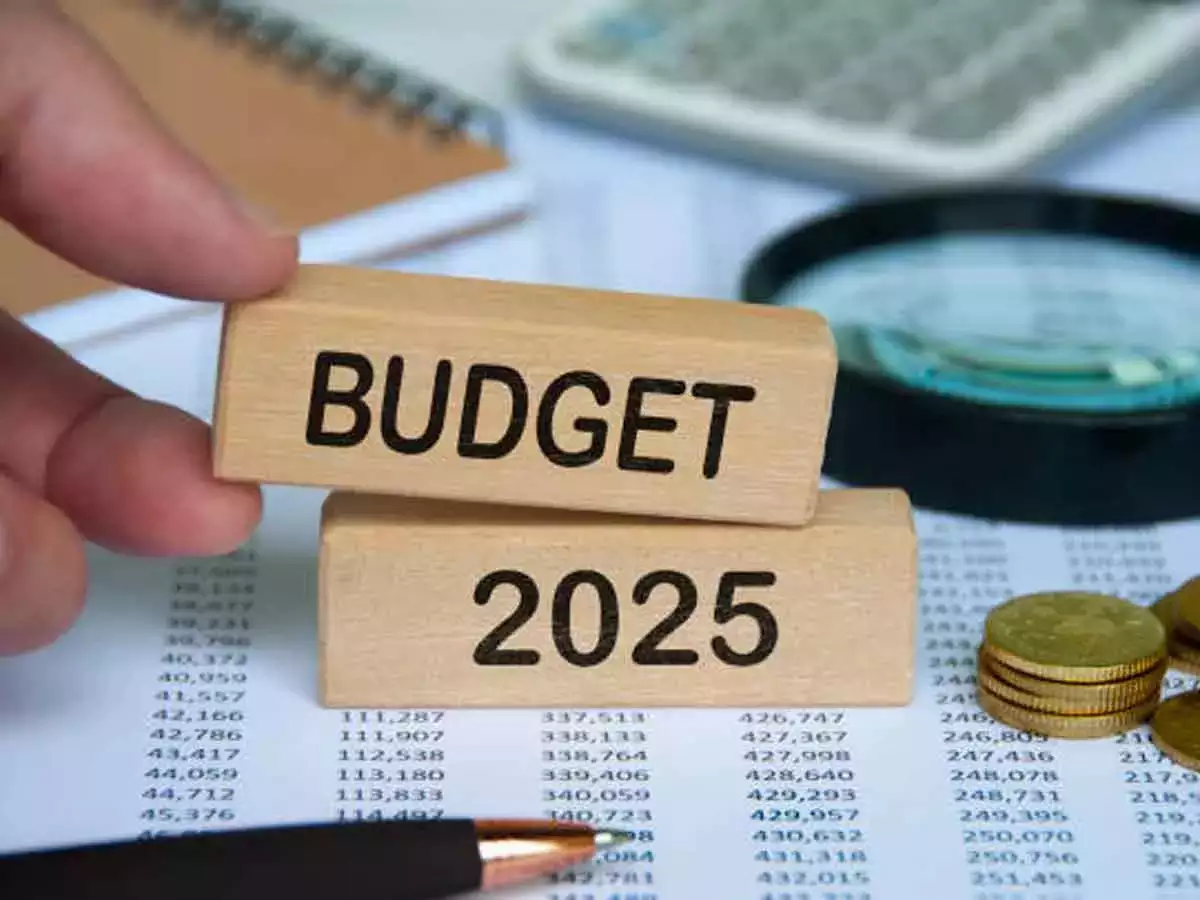 Budget 2025: Healthcare industry wants tax cuts on insurance premiums and increased budget allocation