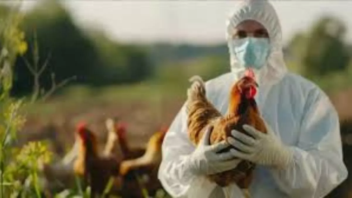 Bird Flu Alert: यूपी में बर्ड फ्लू को लेकर अलर्ट जारी, सीएम ने दिए विशेष निगरानी के आदेश