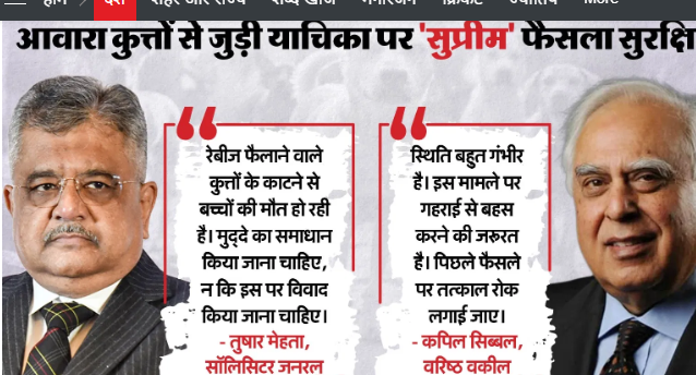 SC: आवारा कुत्तों से जुड़े मामले पर फैसला सुरक्षित; SG बोले- मुद्दा सुलझाने की जरूरत, सिब्बल ने कहा- बहस जरूरी