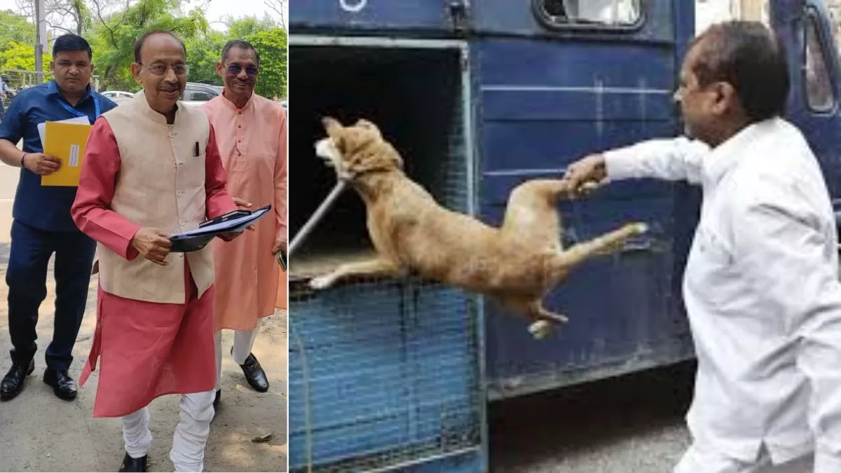 आवारा कुत्तों को पकड़ने गई MCD की टीम पर हमला, हमलावर पशुप्रेमियों पर होगी कड़ी कार्रवाई, FIR दर्ज