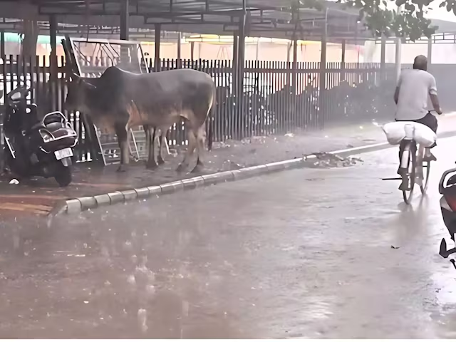 कानपुर में इतनी बारिश क्‍यों हो रही है, इसके पीछे 125 सालों वाला क्‍या राज और खतरा छ‍िपा है?
