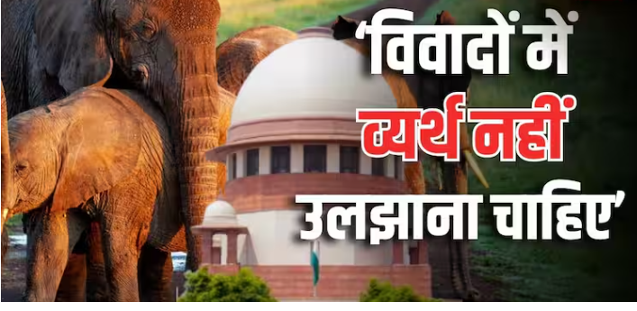 ‘कोई हाथी रखना चाहता है तो उसमें गलत क्या’, वनतारा मामले में बोला सुप्रीम कोर्ट